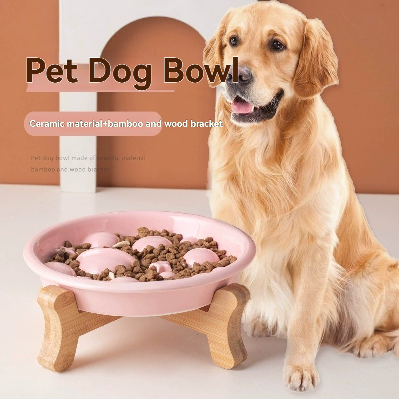 Royal Canin Food Medium - Ceramiczna miska dla psa Ceramic Planet