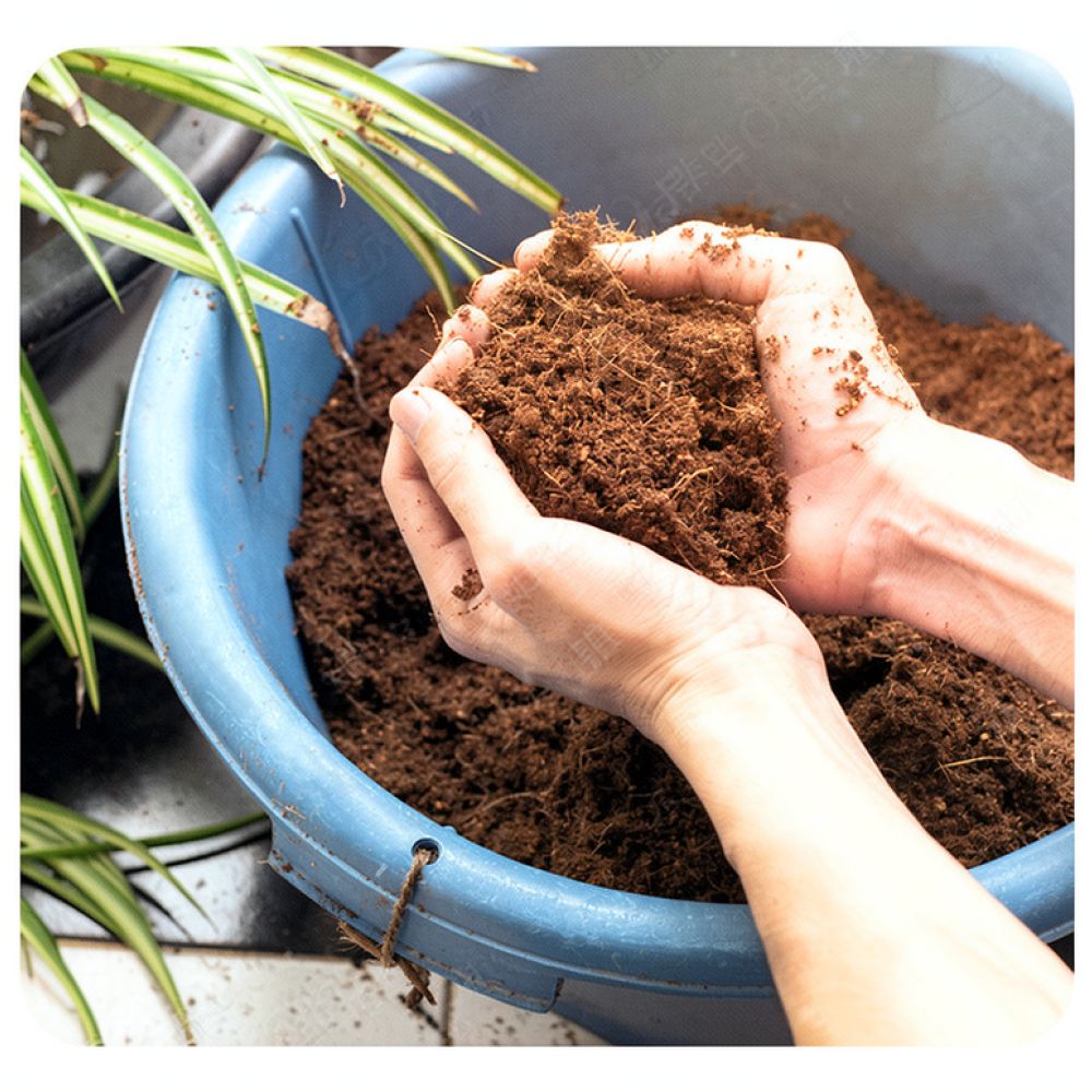 Substrat z kokosowego włókna o – Substrate Coconut Fiber recenzja i cena